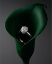 Medusa Ring